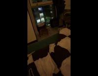 Cat jumps off bed to fetch yarn