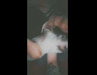 Woman pets white cat