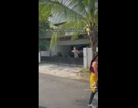 Guy behind gate yelling at couple walking by 