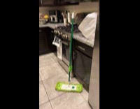 Dog scared of the mop