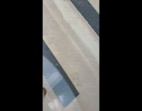 Dog cone pink collar stairs stuck