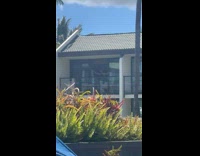 Collab IITW - Man in black tank top opens curtain tiktok on the balcony