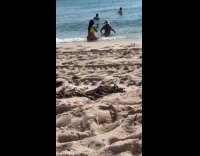 Collab IITW - Woman bikini beach hat bend on shore