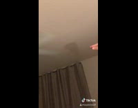 Collab Clips mpugc - Fan shadow puppet pretends to get hit