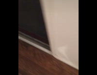 Woman shows that her cat stole a sandwich 