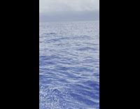 Flying fish skipping water aside boat