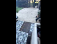 Dog shakes hand when told to sit