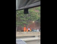 Bushes burn on the side of road