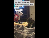 Cat in bed unicorn red jacket dance toy