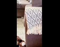 Black white cat peeks out couch armrest