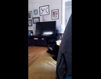 Black dog hates farts and walks out