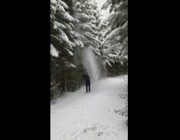 Guy kick tree snow fall from branches