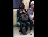 Dog licking mesh net on the subway metro