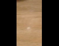 Fly on bar table wipe and rub hands