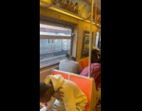 Collab winy - Pigeon on nape of man ride train