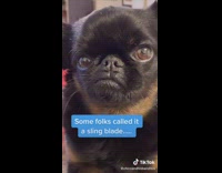 Some folks called it a sling blade