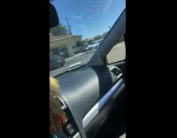 Green beetle flies into guys car freak out