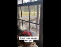 Grinch sneaks and gets arrested outside house