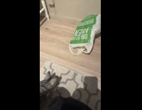 Cat jumps inside plastic hit the wall