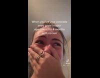 Girl laughing at avocado seed with long branch in her house
