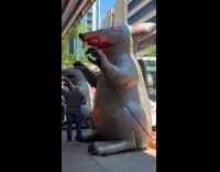 Collab WINY - Two huge rat inflatable on the street