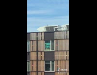 Barry bee benson you like jazz