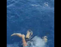 Guy swims to catch fish for kid