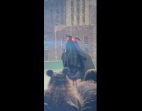 Person dressed as black fly moth at bar 