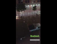 People swim in flooded street next to cars