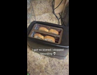 Guy records toast in toaster stops video when it finishes