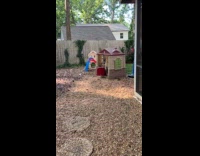 Dog plays with kid inside backyard playhouse
