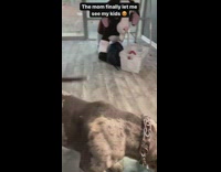 Mother dog sees puppies for first time