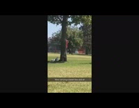 Guy in red plaid flannel rollerskating around with boombox 