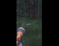 Collab DailyDoseOfInternet - Watering hose makes loud sounds when used 