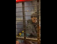 Angry man with kids wont pay fare