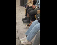 Woman sitting in the subway with pet guinea pig