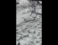 Snowboarder hits his head on ramp while flipping