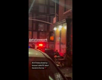 Collab WINY - Police rescued pigeon whole neighborhood showed up