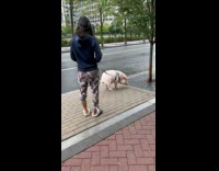 Collab WINY - Woman on street with large pet pig