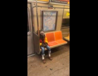 Random person rides subway wears wolf mask
