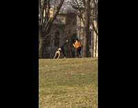 Yoga pose park orange jacket 