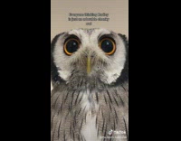 Owl is skinny underneath the feathers 