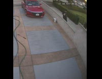 Guy jumps over wall no hands and falls