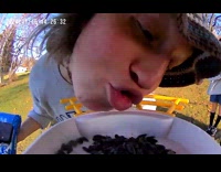 Woman eats from the bird feeder video