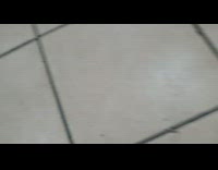 Collab DailyDoseOfInternet - Guy push down tile floor raised up