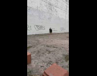 Black suit guy writing on wall protest