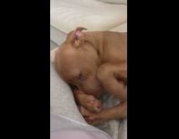 Woman wakes dog up because of sneeze