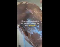 Grandpa shaves back of head with razor