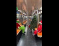 Elf, grinch and Christmas tree on subway