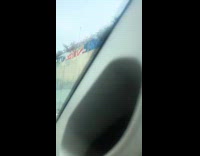 White dog sunroof of car highway